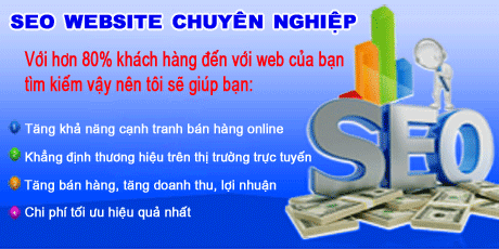 dich vu seo tai hai phong